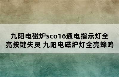 九阳电磁炉sco16通电指示灯全亮按键失灵 九阳电磁炉灯全亮蜂鸣